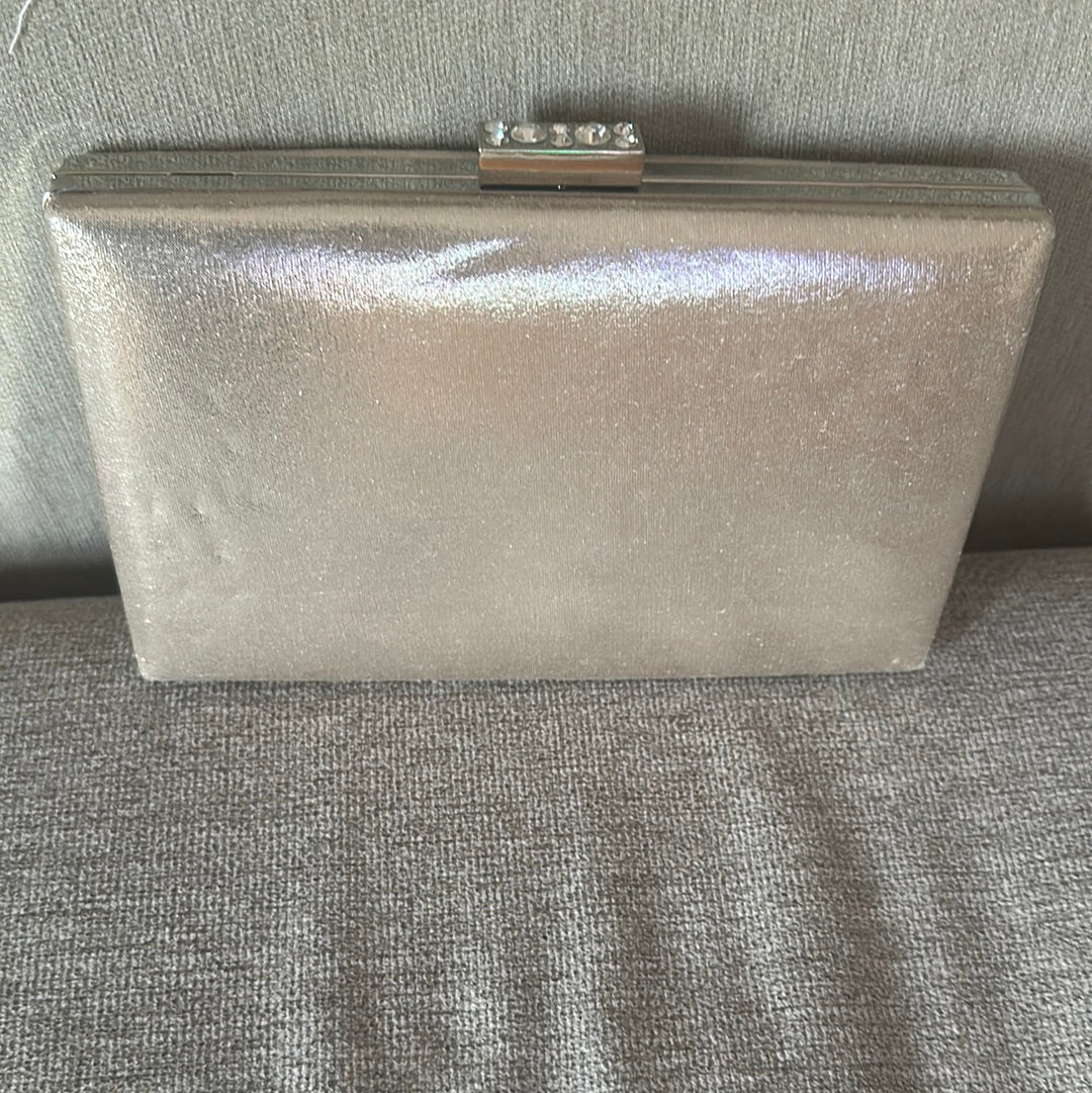 Gold shimmery evening bag with silver hardware