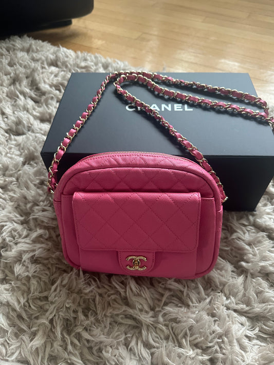 Bubble Gum Pink Chanel Camera Bag